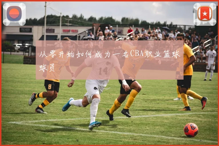 从零开始如何成为一名CBA职业篮球球员